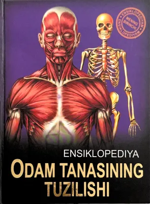 Odam tanasining tuzilishi