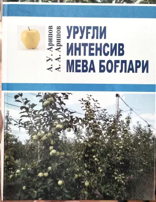 Urugʻli intensiv meva bogʻlari