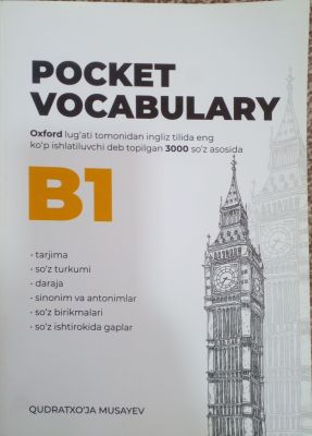 POCKET VOCABULARY