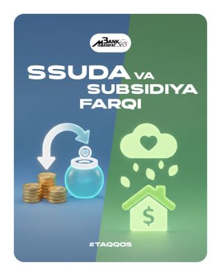 Чем ссуда отличается от субсидии?