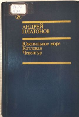 Ювенильное море