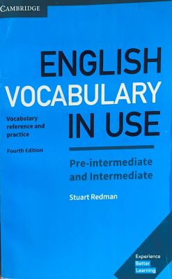 ENGLISH VOCABULARY IN USE