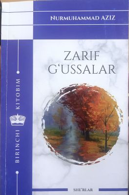 ZARIF G'USSALAR
