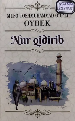 Nur qidirib