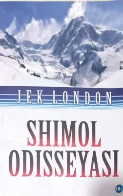 Shimol odisseyasi