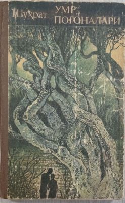 Umr pogʻonalari
