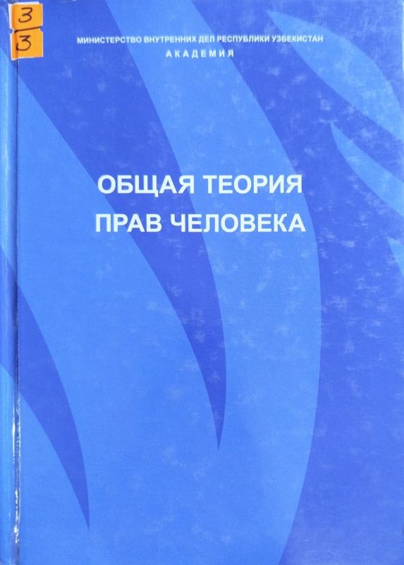ОБЩАЯ ТЕОРИЯ ПРАВ ЧЕЛОВЕКА